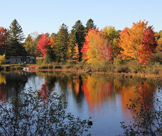 Autumn in Australia vs Spring in North America. A Light Science Comparison